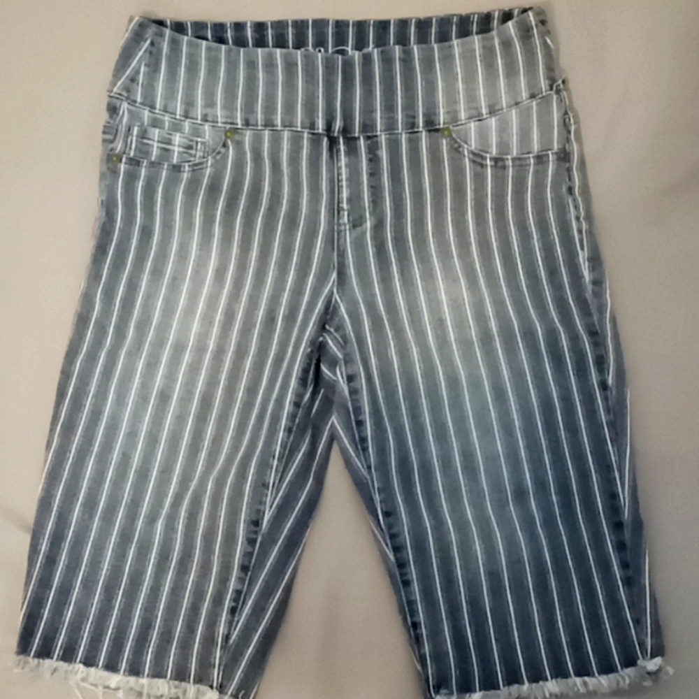 DG2 Shorts Knee length